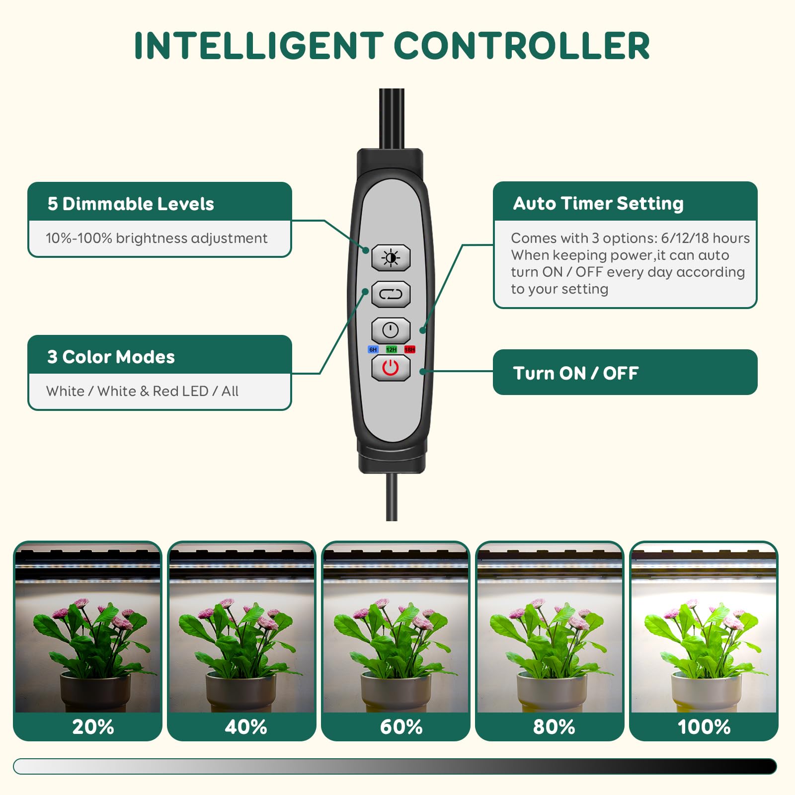 LPMZMBL full-spectrum 6500K light promotes healthy indoor plant growth