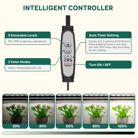 LPMZMBL full-spectrum 6500K light promotes healthy indoor plant growth