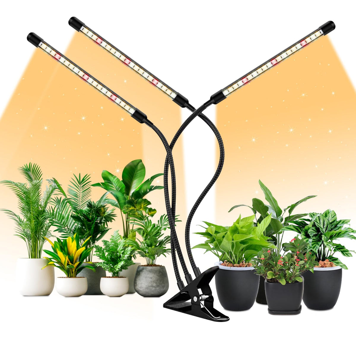 LPMZMBL full-spectrum LED grow light with three heads over seedlings, promoting even growth.