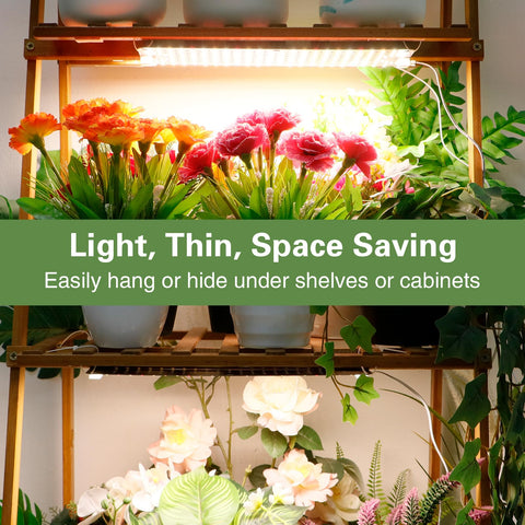 LPMZMBL a thoughtful gift for plant lovers with reliable support