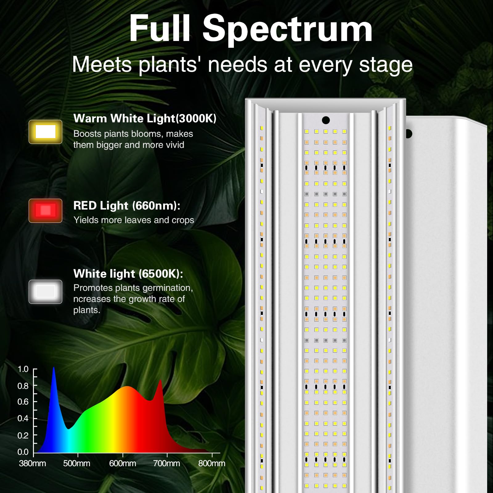 LPMZMBL seed starting setup provides even light distribution across shelves