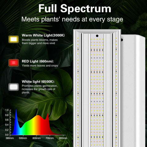 LPMZMBL seed starting setup provides even light distribution across shelves