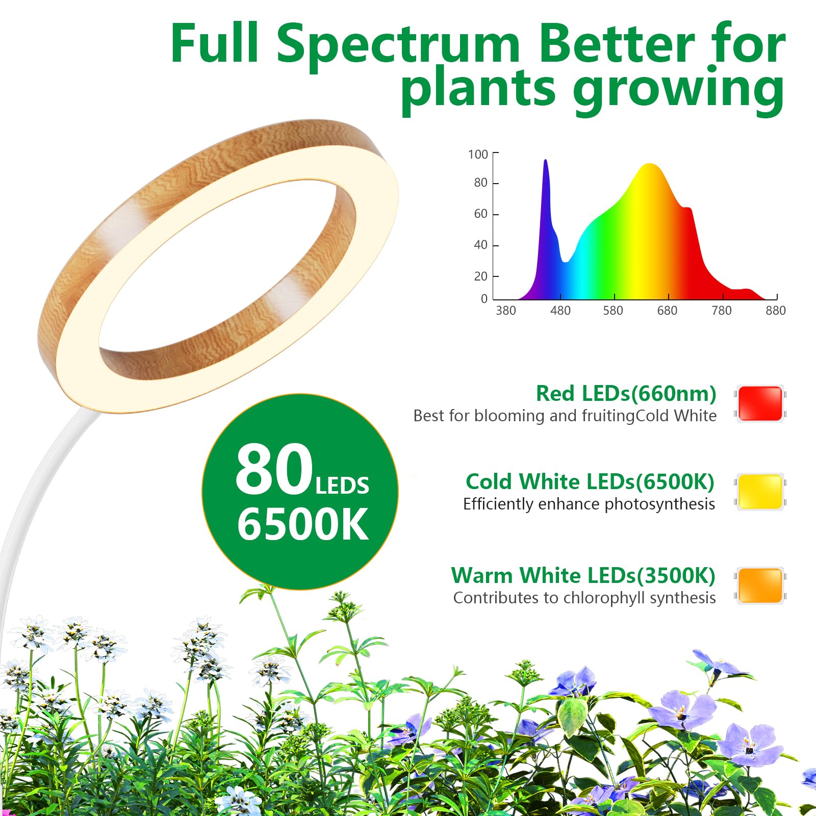 LPMZMBL 5 level dimming enables customized light intensity.