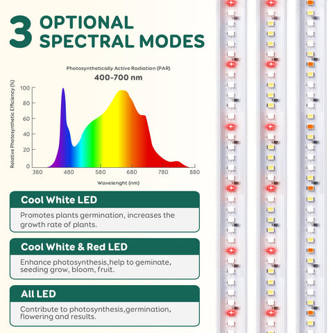 LPMZMBL timer-enabled light automatically switches on and off for convenience