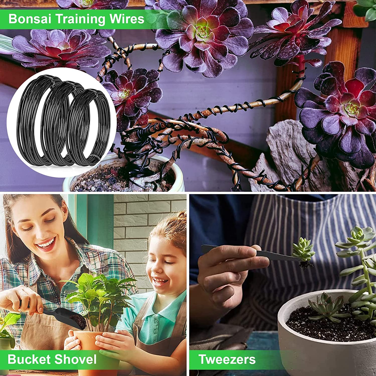 LQTTEK succulent tool set for efficient soil prep and transplanting.