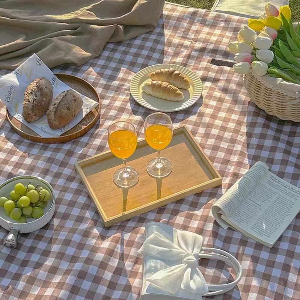 LRUUIDDE oversized picnic blanket 80x60 inches for family picnics on grass