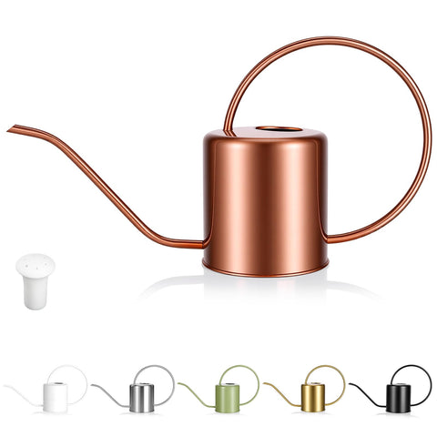 LTSUMI plant watering can with long spout for precise indoor watering