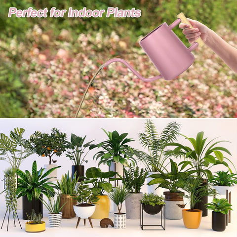 LTSUMI stainless steel watering can stands up to rust and scratches