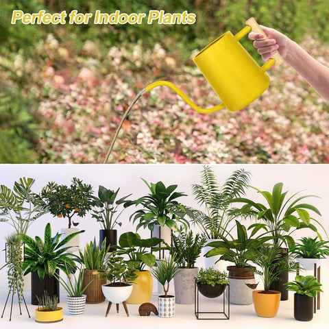 Decorative yet functional, this can enhances home decor while watering plants.