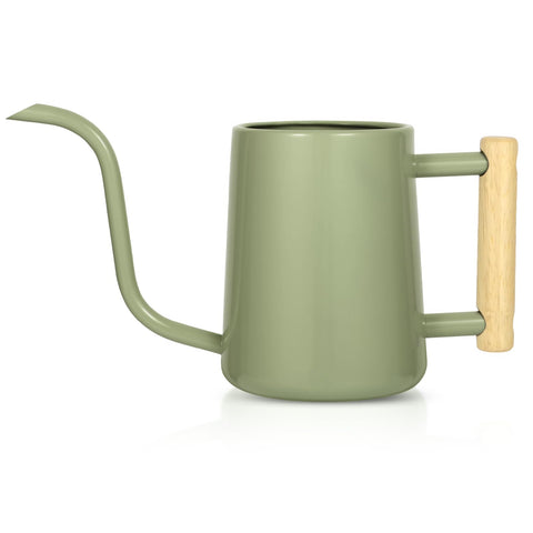 LTSUMI watering can with long spout enables precise indoor plant watering.