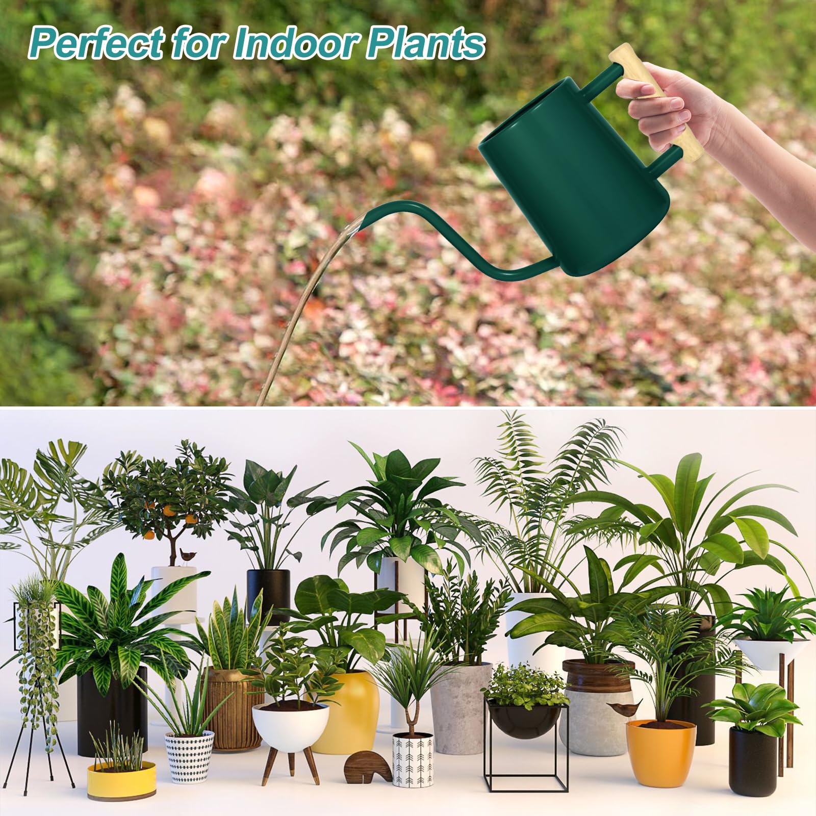 LTSUMI 1000 ml capacity supports multiple plants per fill