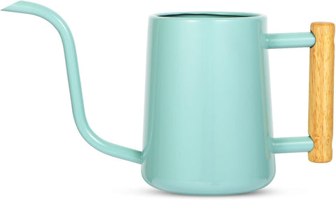 LTSUMI watering can with long spout for precise indoor plant watering