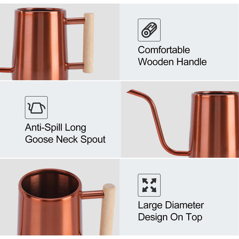 LTSUMI 1000 ml capacity suits daily indoor plant care.
