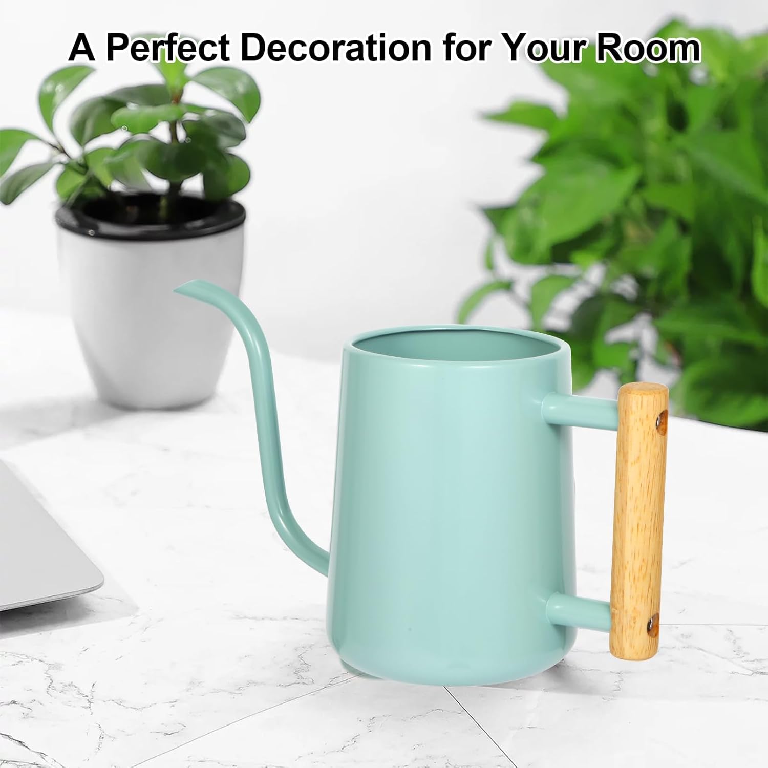 LTSUMI stainless steel watering can resists rust and scratches