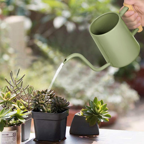 LTSUMI watering can features a comfortable wooden handle for easy refills.