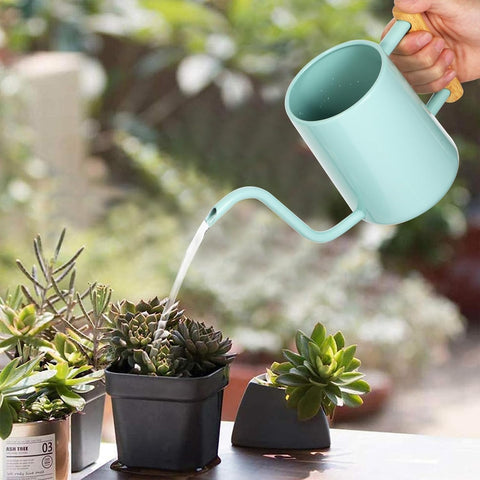 LTSUMI watering can featuring a wooden handle for comfortable grip