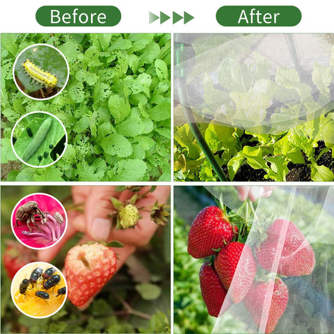 Luborn assembled grow tunnel shows easy DIY installation and adjustable sizes.