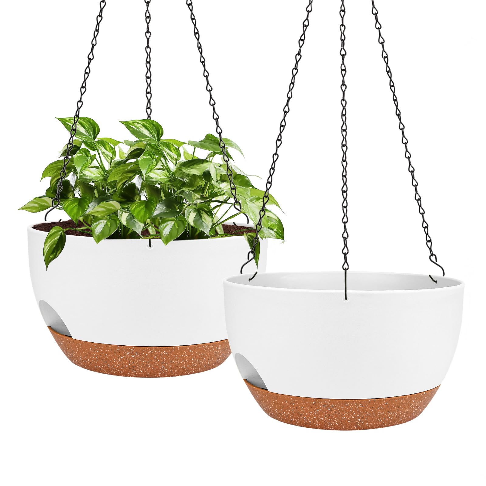 Lucieblessdesign 12-inch hanging planter with self-watering reservoir for consistent moisture