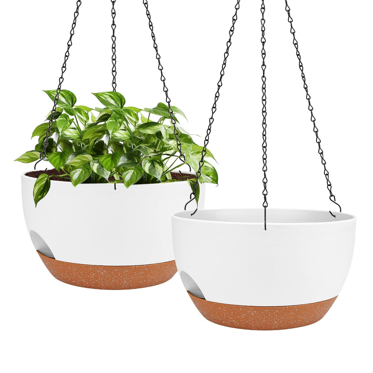 Lucieblessdesign 12-inch hanging planter with self-watering reservoir for consistent moisture