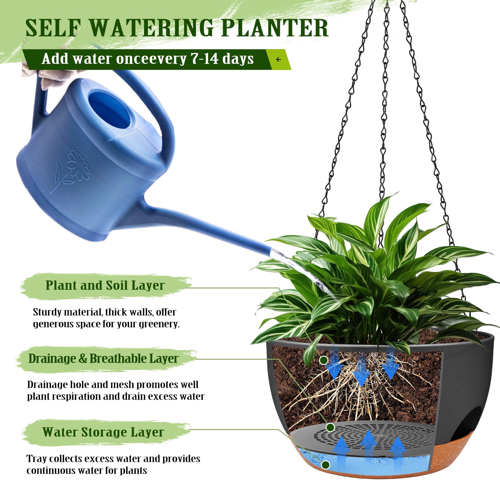 Lucieblessdesign two-pack 12-inch planters ideal for vines, ferns, and flowering plants.