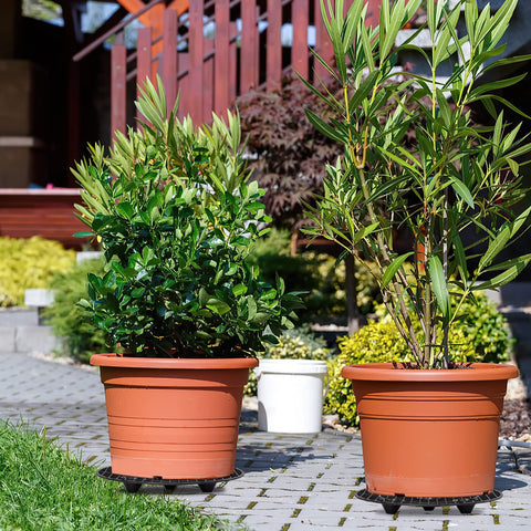LUCKIPLUS anti-tilt supports keep pots steady on patios and indoors.