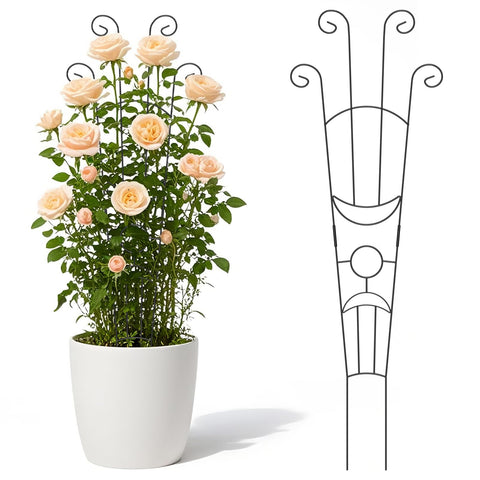 Luckjuju 2-pack 32.6-inch plant trellises support climbing plants indoors and outdoors