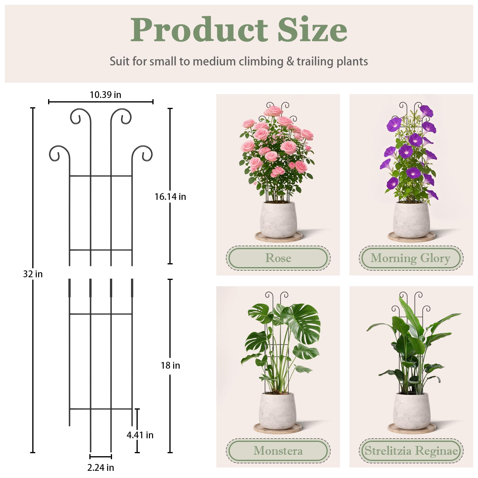 LUCKJUJU metal trellis with rust-resistant coating keeps plants upright season after season.