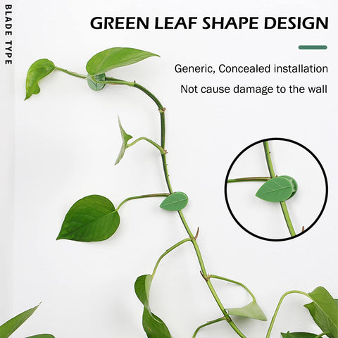 LUCKJUJU plant vines clipping demonstrates guided growth.