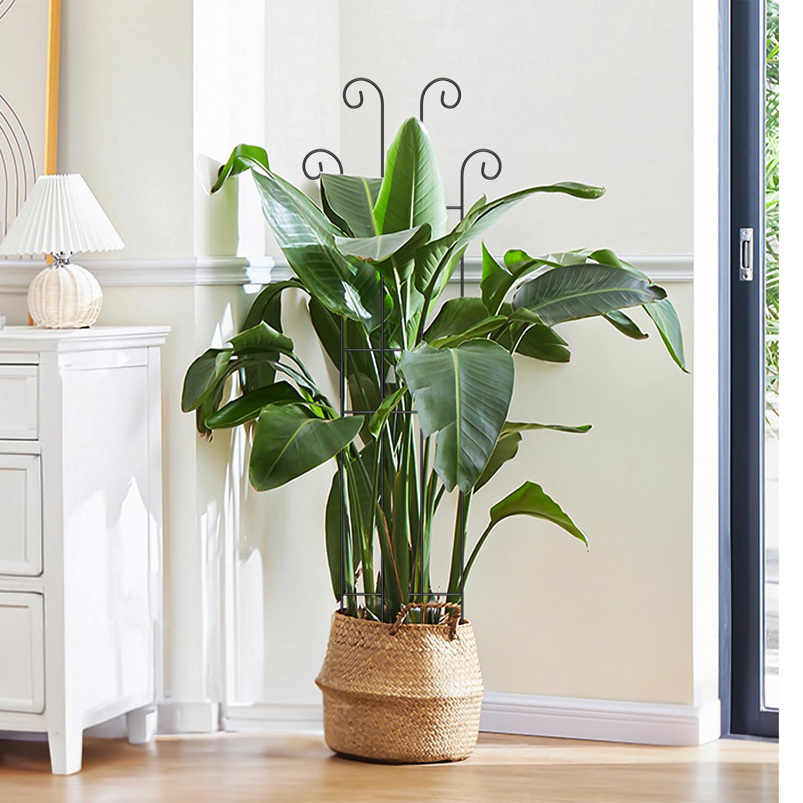 LUCKJUJU pothos ivy morning glories trellis guides climbing plants with style.