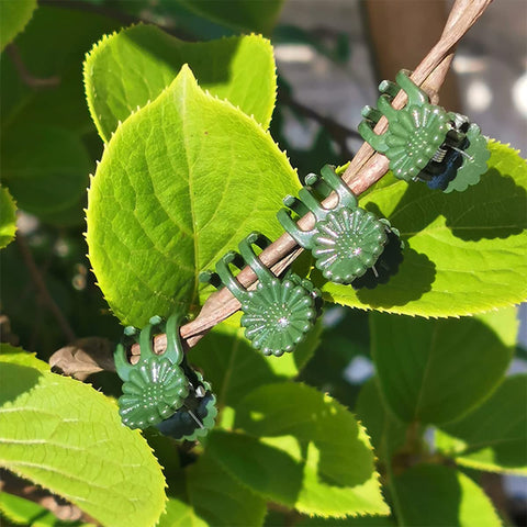 LUCKJUJU single-stem support ideal for roses and orchids