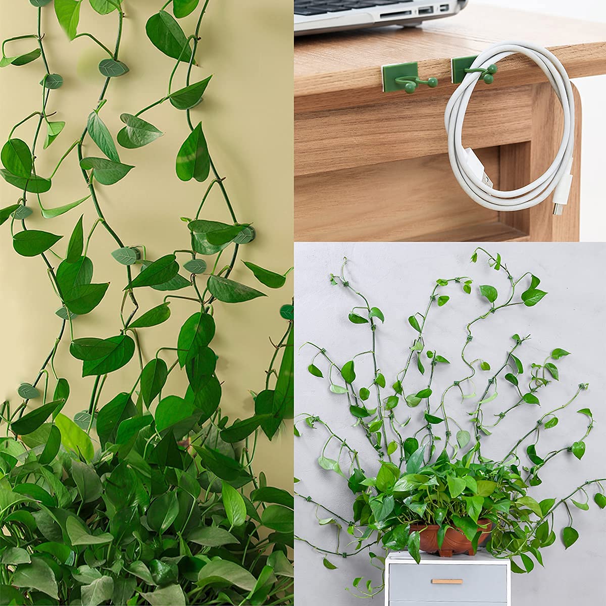 LUCKJUJU vine clips on walls guide growth discreetly.