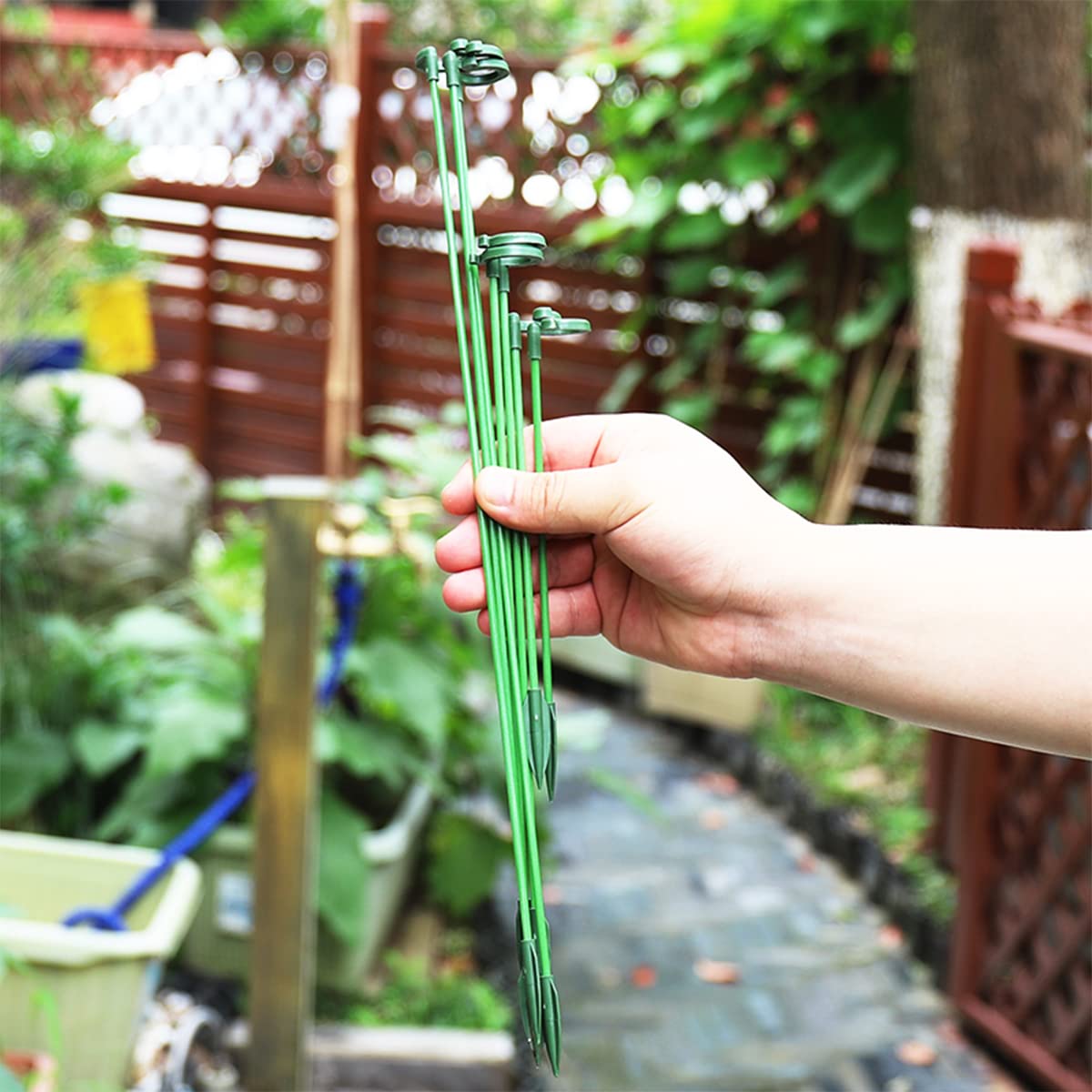 LUCKJUJU helps stems stay upright against wind and rain