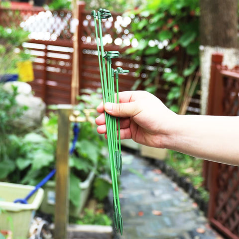 LUCKJUJU helps stems stay upright against wind and rain