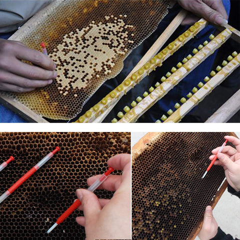 Lucky Farm extendable part helps reach tight hive cells
