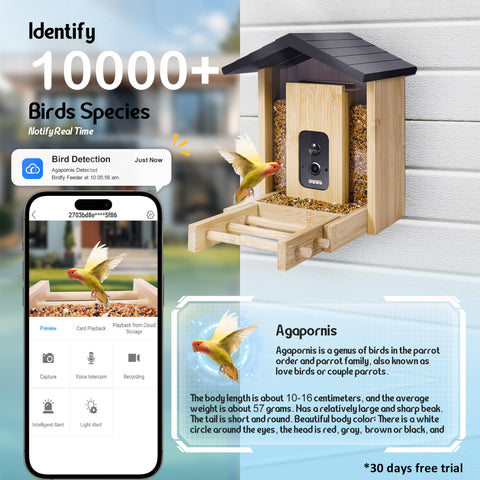 LUCKY NAVI smart bird feeder solar panel and built-in battery powering uninterrupted viewing