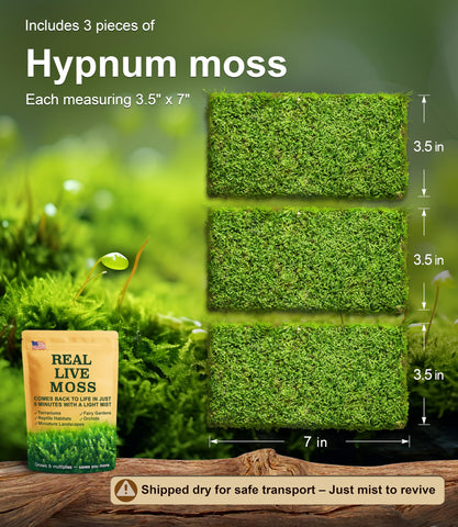 LuckyRunes moss close-up texture shows soft, pliable surface for easy shaping.