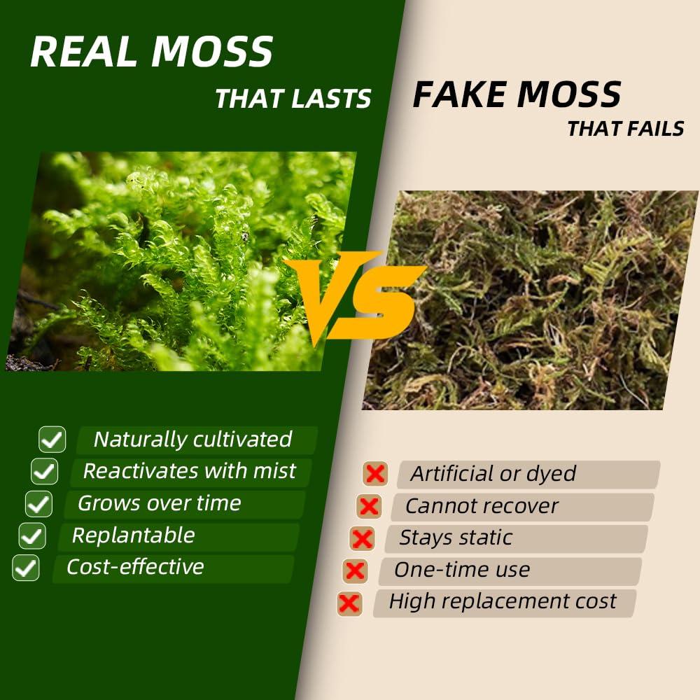 LuckyRunes moss in fairy garden creates lush, realistic ground cover.