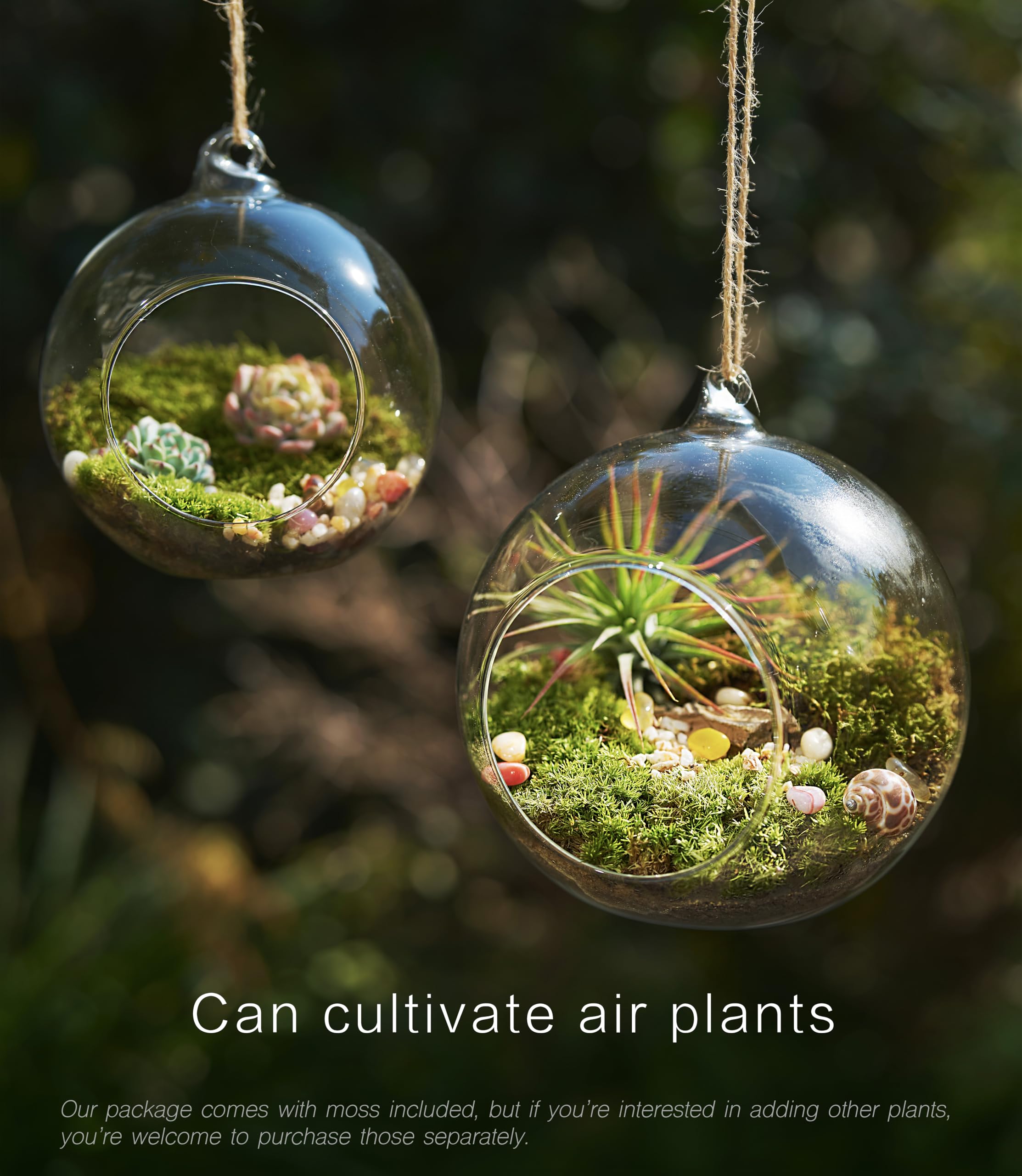 LuckyRunes printed care instructions guide simple terrarium maintenance.