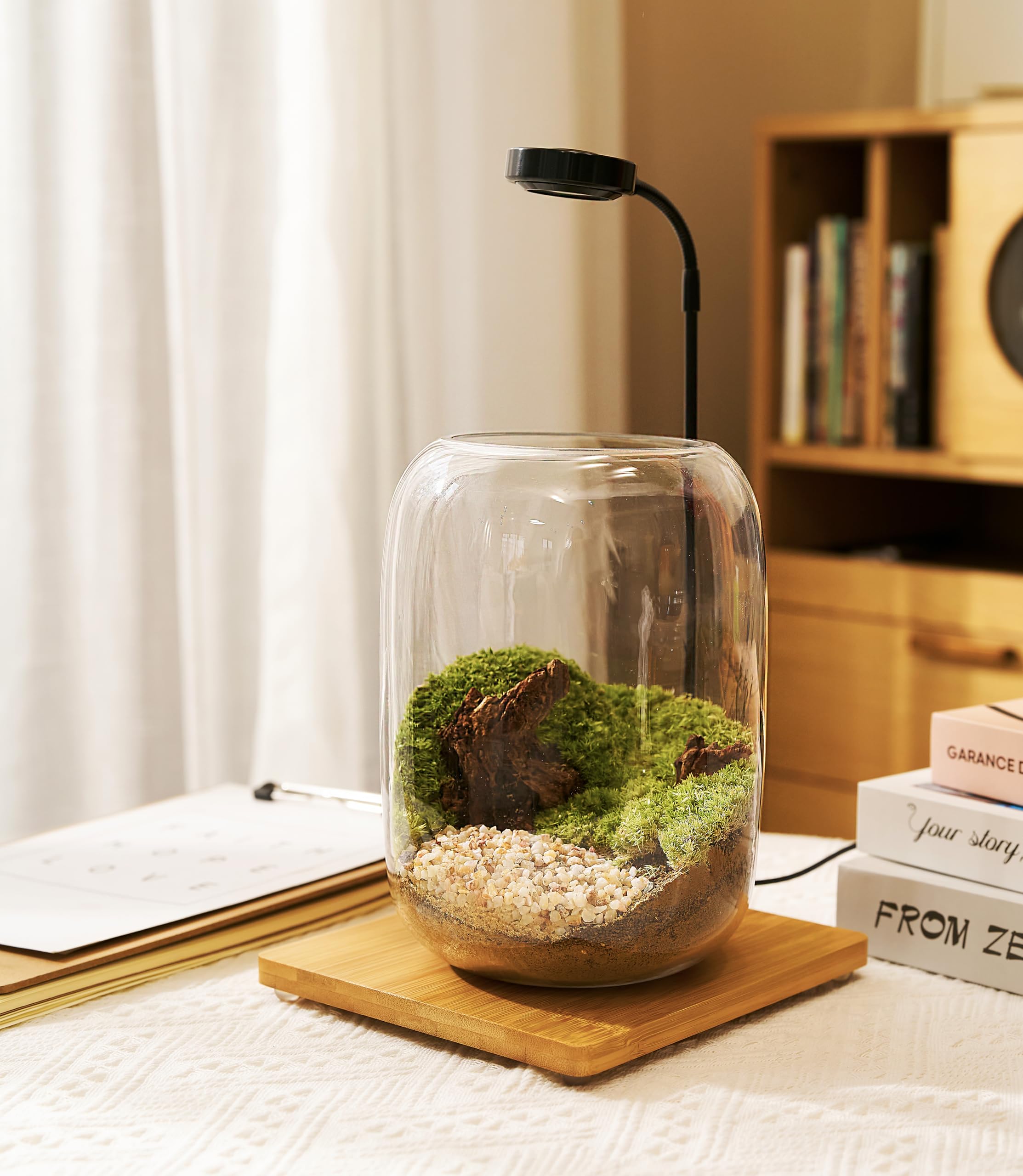 LuckyRunes Terrarium Kit driftwood accents create natural texture in a compact terrarium.
