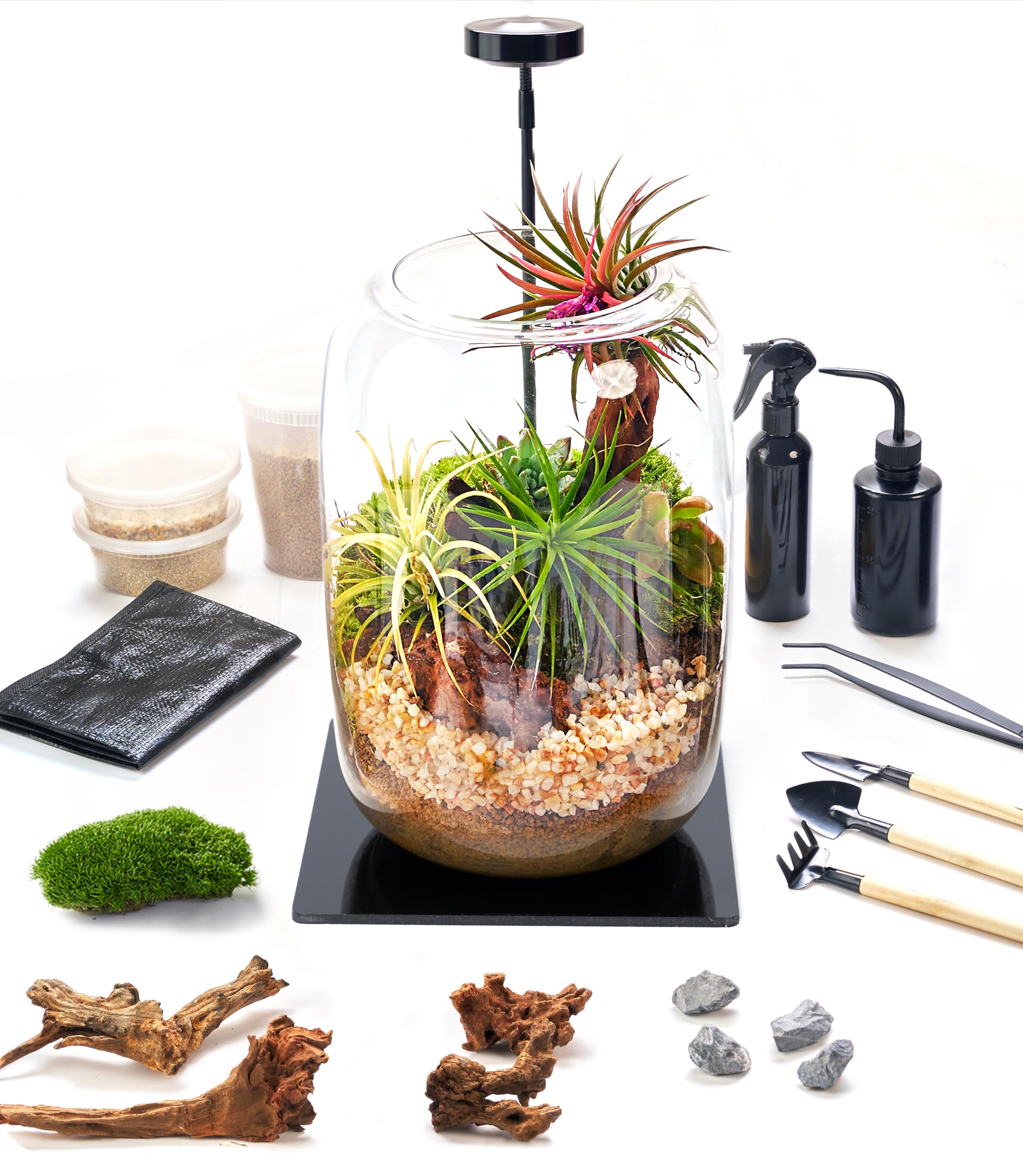 LuckyRunes Terrarium Kit glass container with layered soil and moss for a stylish indoor display.