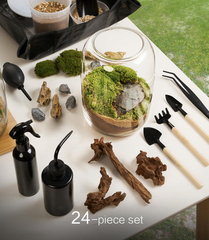 LuckyRunes Terrarium Kit moss adds greenery for a vibrant desk garden.