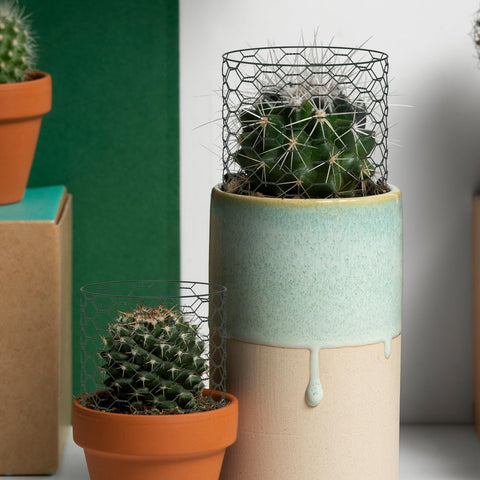 Lucomb easy unroll collection speeds garden and craft setup