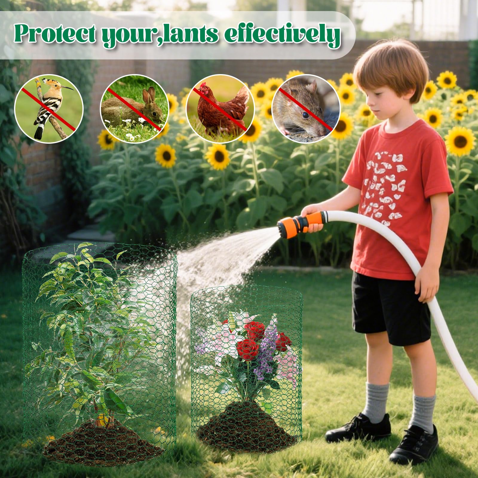 Lucomb rectangular and round cage shapes for versatile garden supports.