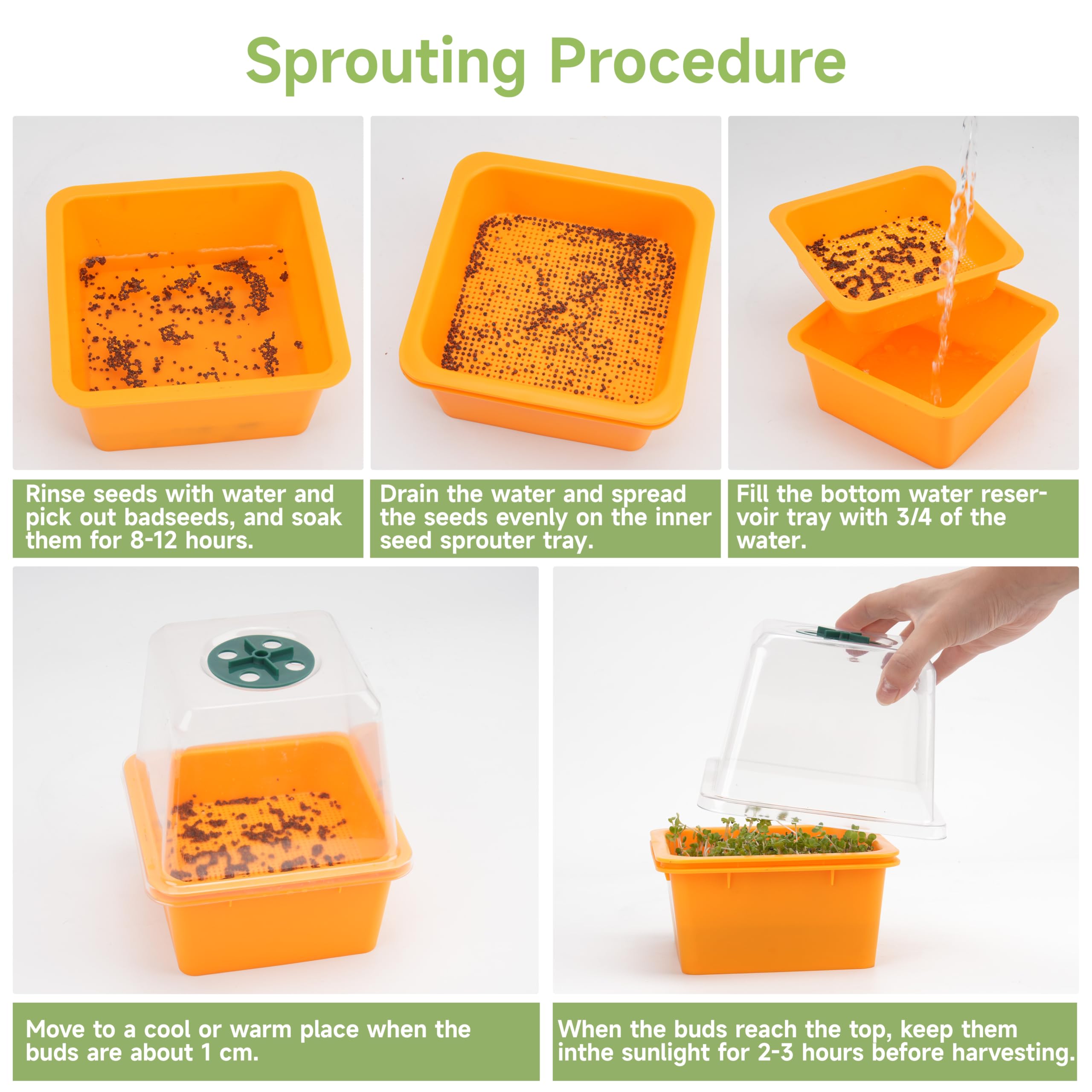 LUVCOSY beginner-friendly sprouting kit makes seed starting simple and enjoyable.