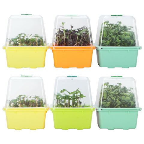 LUVCOSY microgreen trays 6-pack with clear humidity domes for even germination.