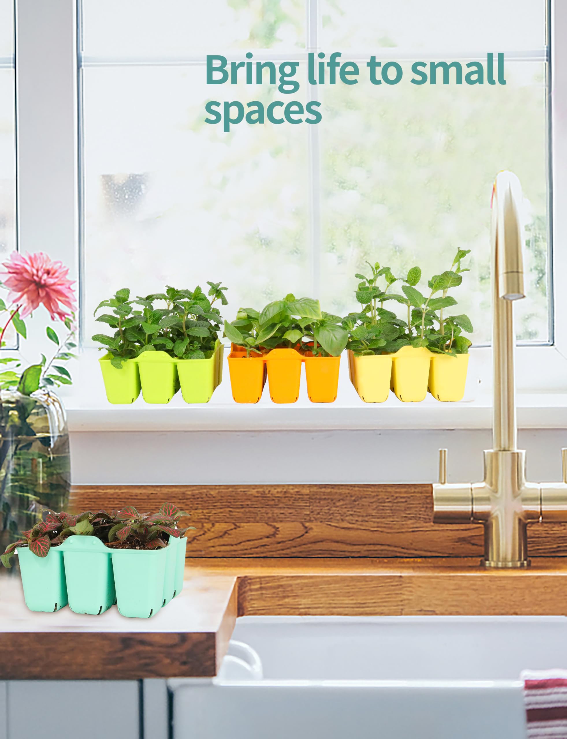 LUVCOSY seed starter tray 8-pack gift-ready packaging for gardeners.