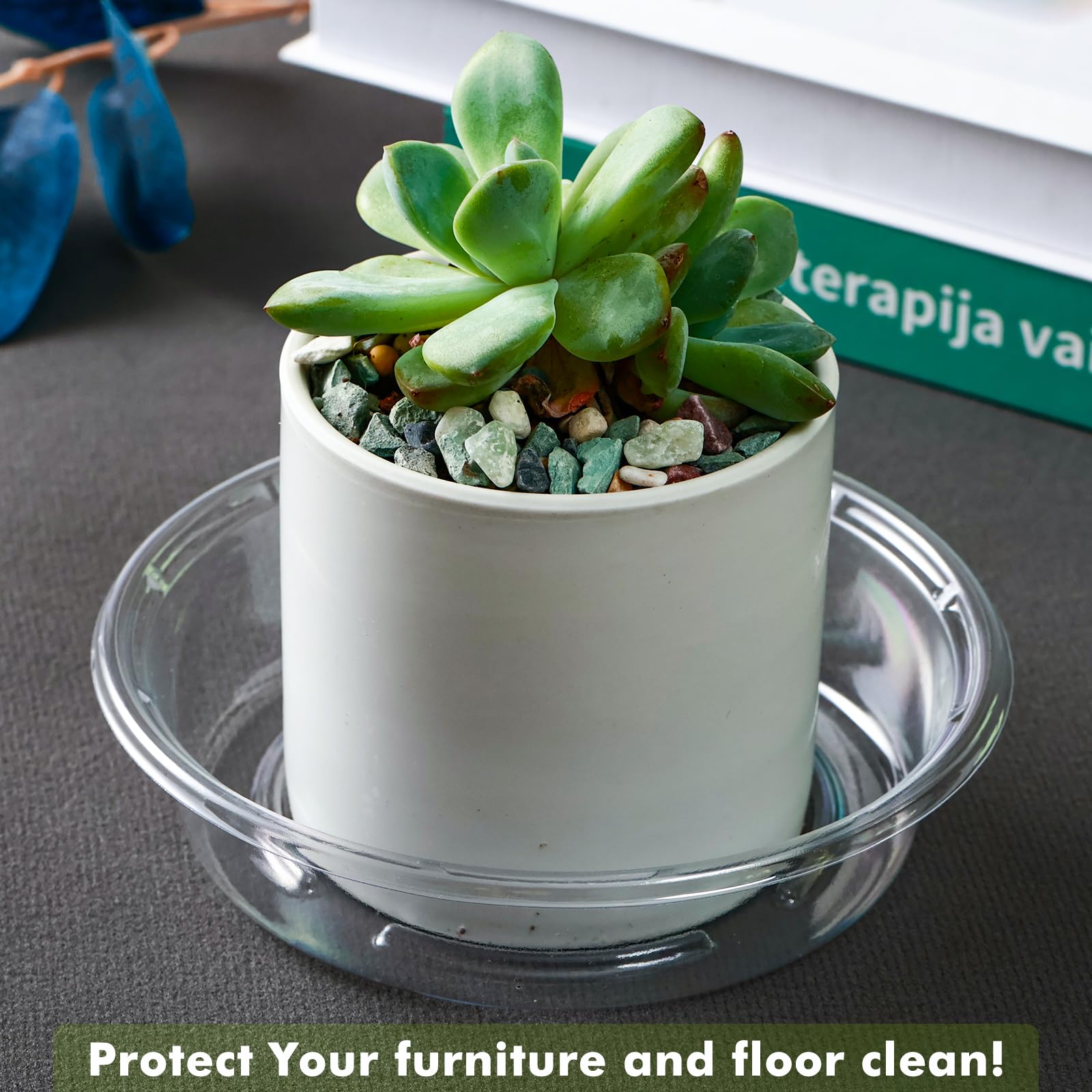 Lucpur 4in plant saucer side view showing clear, leak-resistant edges.