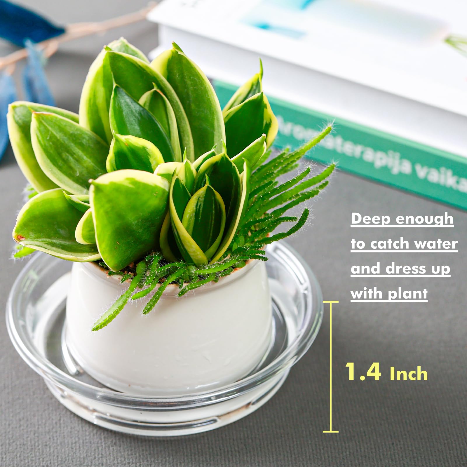 Lucpur indoor-use plant saucer helps keep surfaces clean and tidy.