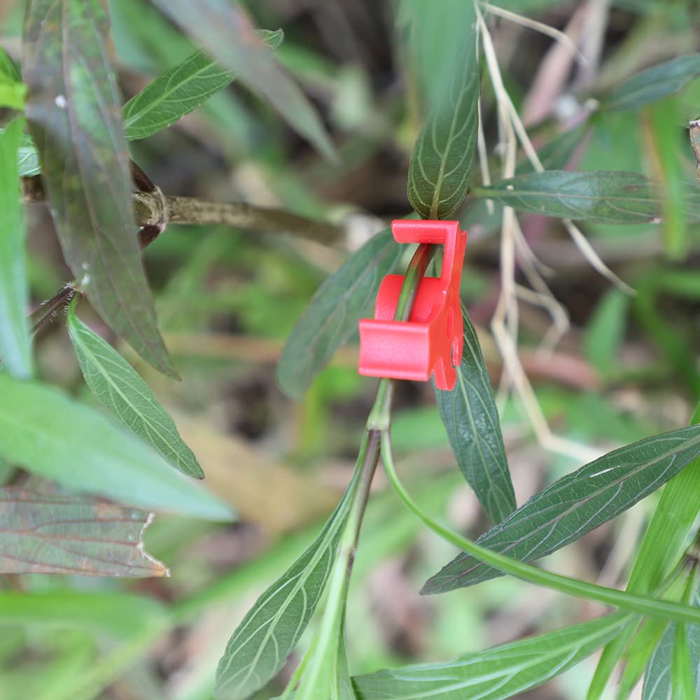 LucyPhy Plant Bender suitable for tomatoes, fruit trees, and flowering plants