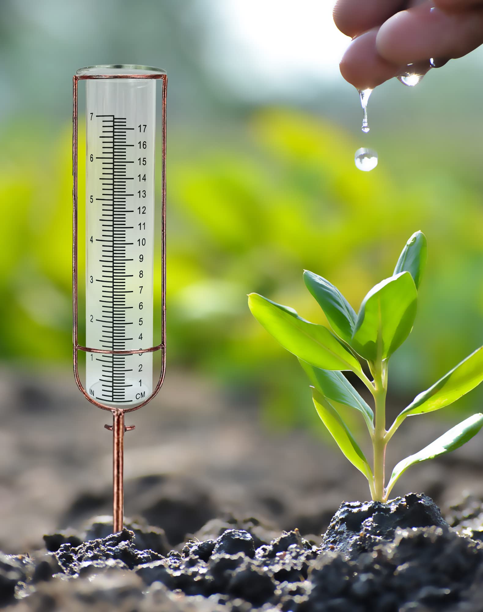 Lueudu two-pack provides ready replacements for reliable rain tracking.